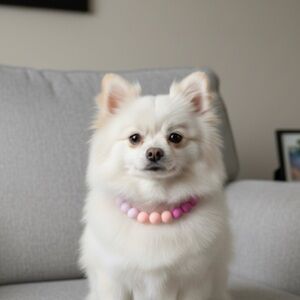 🐶HP🐶 Handmade XS Pastel Shades of Barbie Pink Beaded Dog Collar, Size 9.5”